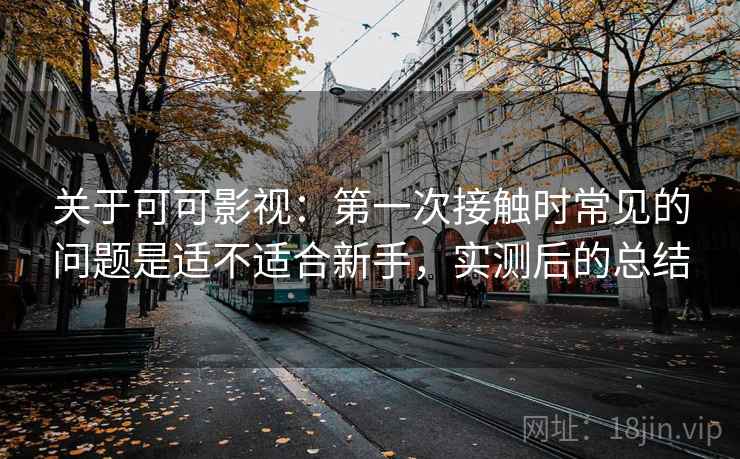 关于可可影视：第一次接触时常见的问题是适不适合新手，实测后的总结  第2张