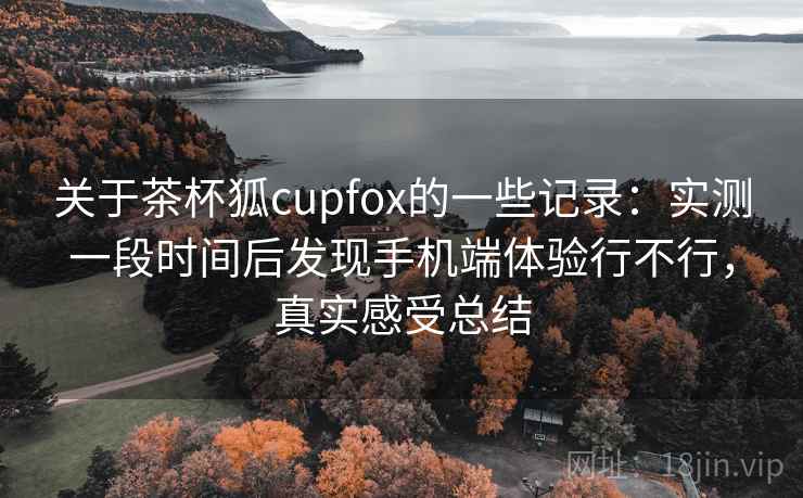 关于茶杯狐cupfox的一些记录：实测一段时间后发现手机端体验行不行，真实感受总结