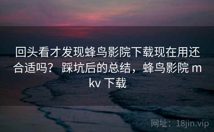 回头看才发现蜂鸟影院下载现在用还合适吗? 踩坑后的总结,蜂鸟影院 mkv 下载