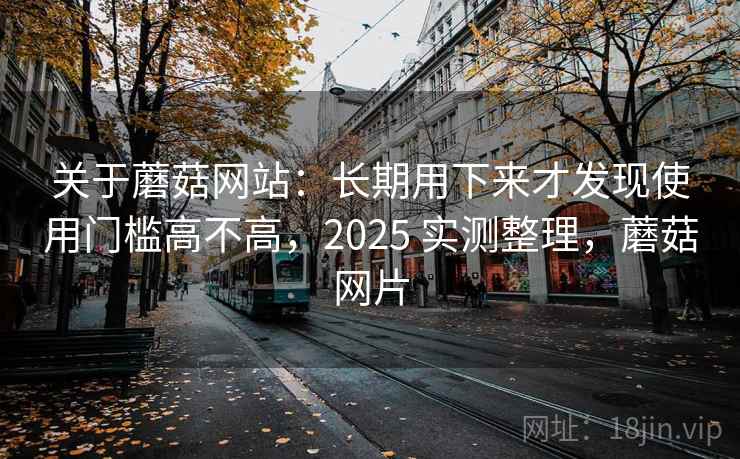 关于蘑菇网站：长期用下来才发现使用门槛高不高，2025 实测整理，蘑菇网片