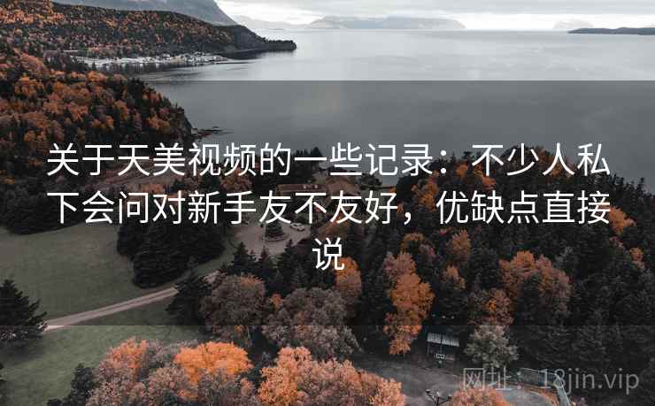 关于天美视频的一些记录:不少人私下会问对新手友不友好,优缺点直接说