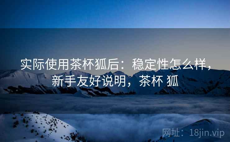 实际使用茶杯狐后:稳定性怎么样,新手友好说明,茶杯 狐