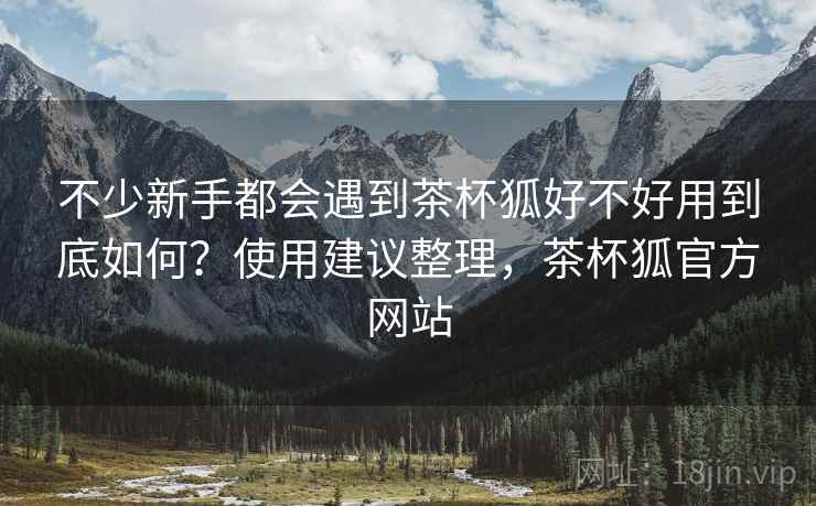 不少新手都会遇到茶杯狐好不好用到底如何？使用建议整理，茶杯狐官方网站