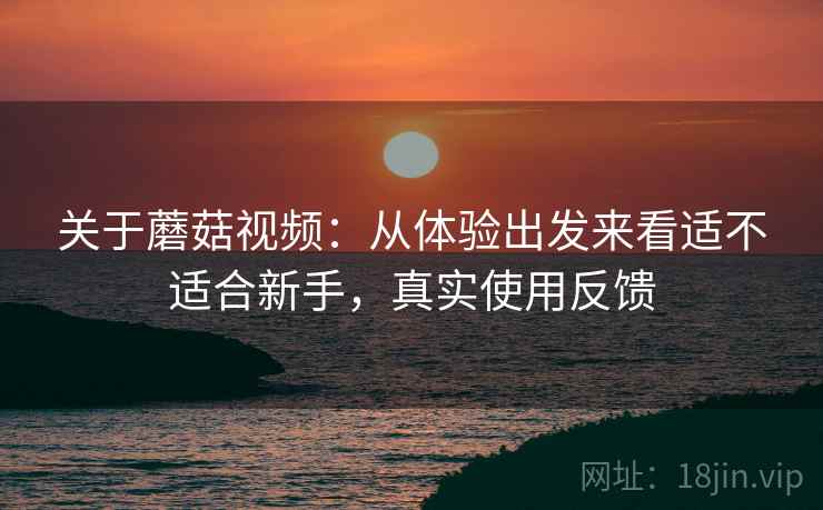关于蘑菇视频:从体验出发来看适不适合新手,真实使用反馈