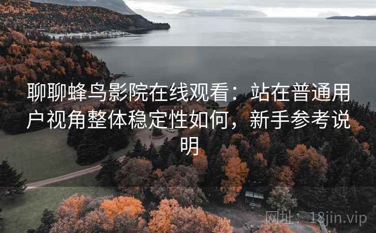 聊聊蜂鸟影院在线观看：站在普通用户视角整体稳定性如何，新手参考说明