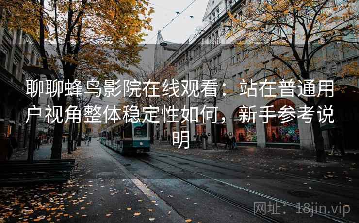 聊聊蜂鸟影院在线观看:站在普通用户视角整体稳定性如何,新手参考说明 第2张 聊聊蜂鸟影院在线观看:站在普通用户视角整体稳定性如何,新手参考说明 第2张