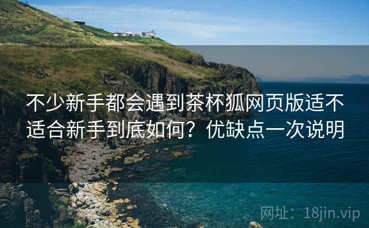 不少新手都会遇到茶杯狐网页版适不适合新手到底如何?优缺点一次说明